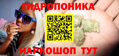 наркотики Заводоуковск