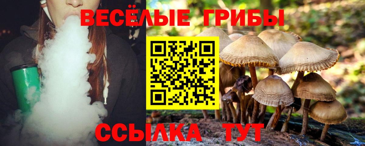 Галлюциногенные грибы GOLDEN TEACHER  Псилоцибиновые грибы мухоморы  наркотики  Вход с VPN  Благовещенск 